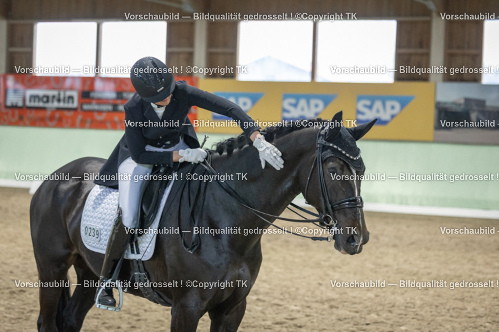 _D5A6950 | Emotionale Pferde- & People-Fotografie rund um Heidelberg, Leimen & Umgebung. Natürliche Fotos von Pferd, Mensch & Familie. Jetzt Termin sichern!