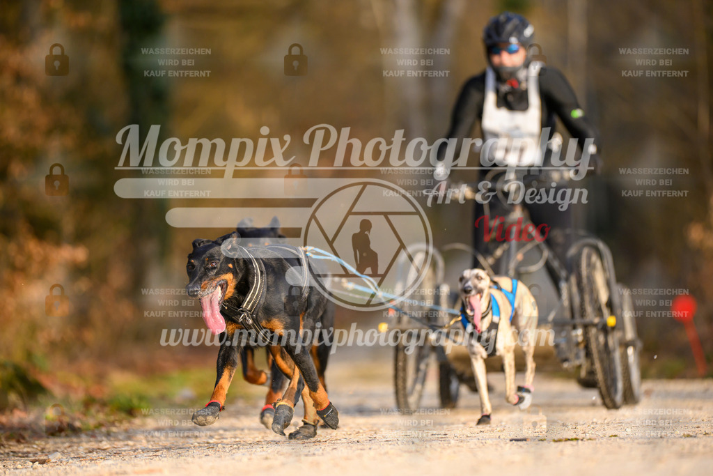 MompixPhotography_6ReiatRennen2026_SO_Kart-27 | PayLife