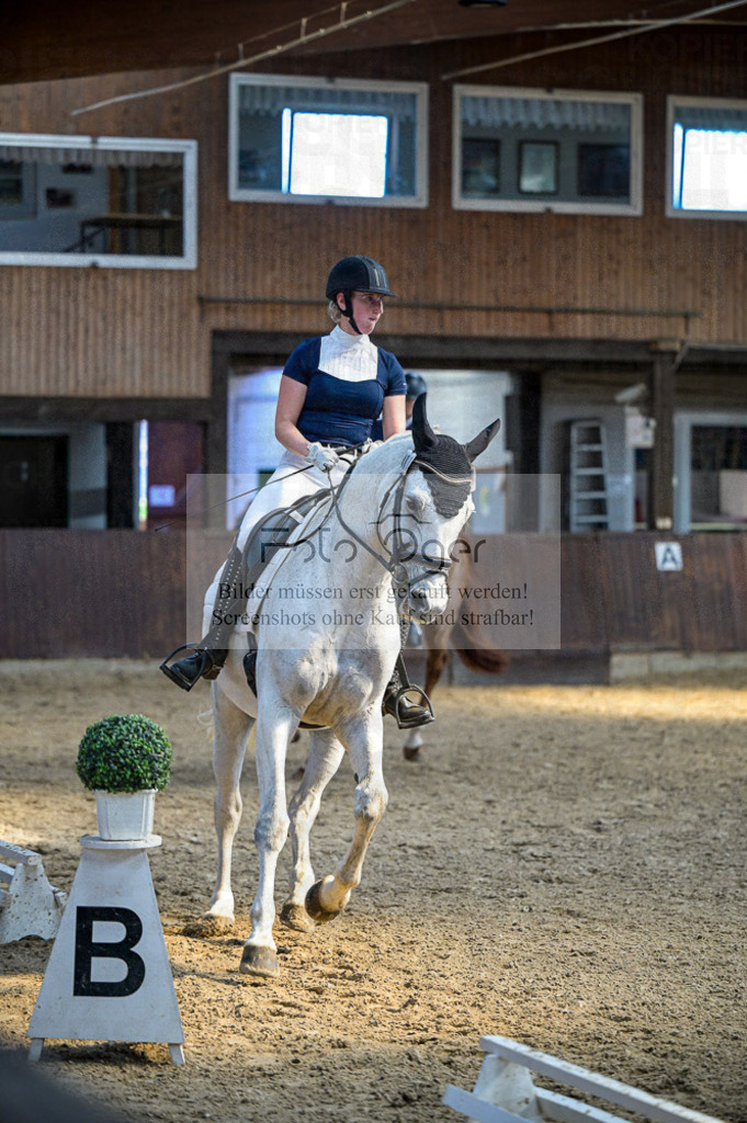 Reitturnier Voxtrup | Entdecke hochwertige Reitturnierfotos von Foto Oger. Professionell, emotional und authentisch – jetzt Lieblingsmomente im Shop bestellen.Deutschlandweite Turnierfotografie. - Realisiert mit Pictrs.com