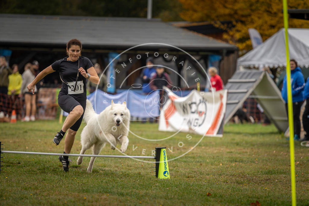 Pfotenfotografie_DV3A1594 | Hundefotografie, Tierfotograf, Pfotenfotografie, Fotoshooting Hund, Hunde Portrait, Hundesport, Hundeportraits, Heideshooting, Hunde, Sportfotograf, Hundefotograf, Turnierhundsport, THS,  - Realisiert mit Pictrs.com
