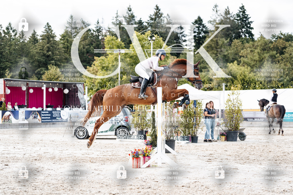 CK903942 | Turnierfotografie Pferdefotografie Trier Rheinland-Pfalz Pferdesport Reitsport Tierfotografie Sportfotografie Pferdevideo Pferdevideografie Equestrianvideography equestrianphotography  - Realisiert mit Pictrs.com