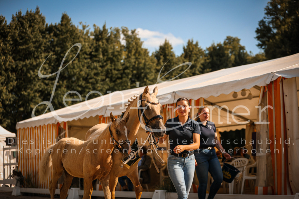 10.DoRP00226 | Leoni Ertmer Photography - Realisiert mit Pictrs.com