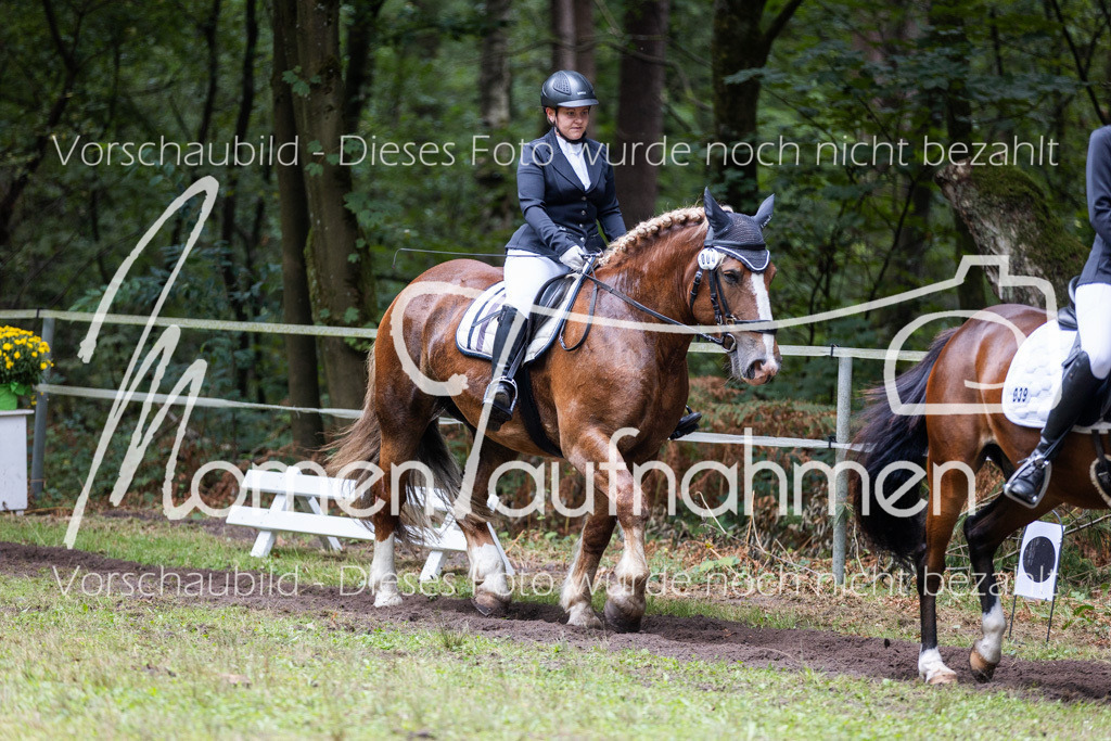 HB-Reiter-WB-054 | MomenTaufnahmen Pferdesportfotos