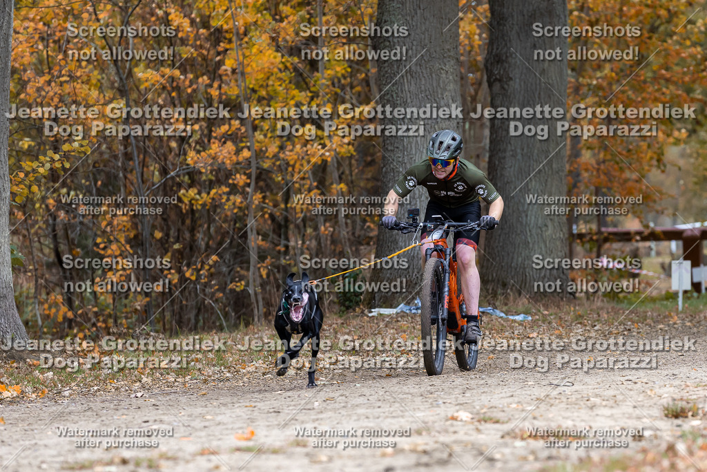 Dog Paparazzi - SD CaniX Championship 2025-579 | Dog Paparazzi Jeanette Grottendiek Fotografie & Videografie - Realisiert mit Pictrs.com