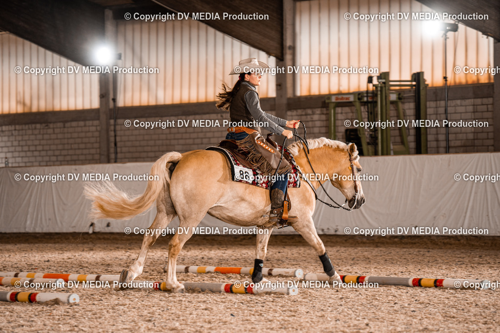 ZH300361 | dv-media-shop - Realisiert mit Pictrs.com