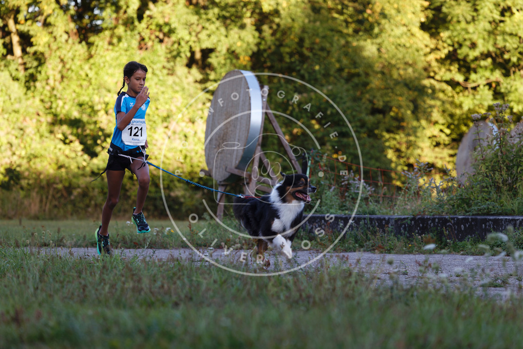 0L8A4353 | Hundefotografie, Tierfotograf, Pfotenfotografie, Fotoshooting Hund, Hunde Portrait, Hundesport, Hundeportraits, Heideshooting, Hunde, Sportfotograf, Hundefotograf, Turnierhundsport, THS,  - Realisiert mit Pictrs.com