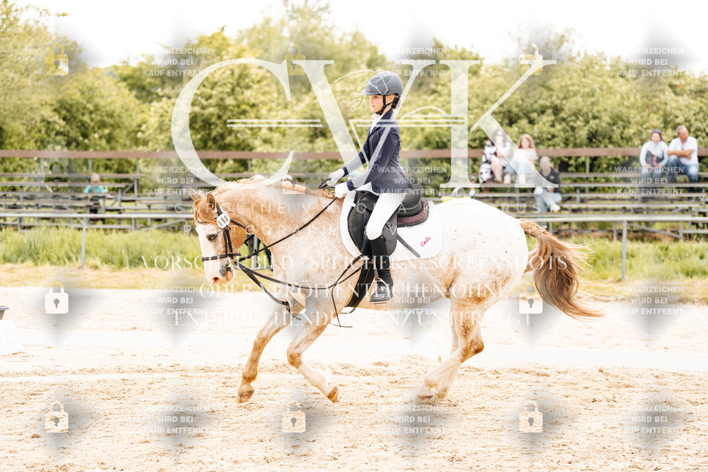 CK904383 | Turnierfotografie Pferdefotografie Trier Rheinland-Pfalz Pferdesport Reitsport Tierfotografie Sportfotografie Pferdevideo Pferdevideografie Equestrianvideography equestrianphotography  - Realisiert mit Pictrs.com