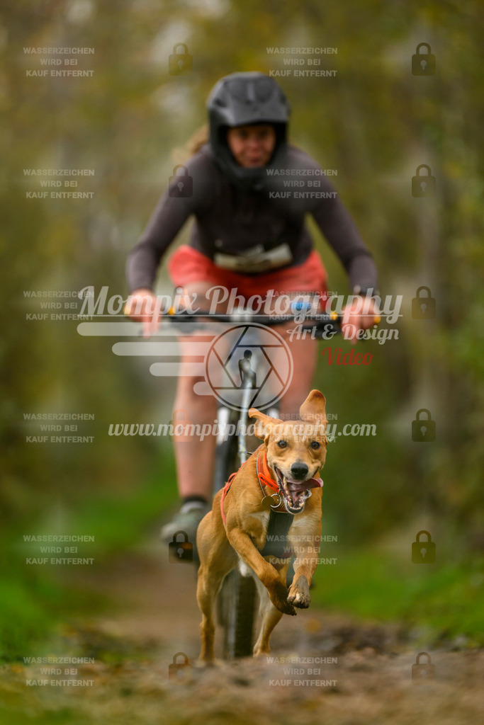 MompixPhotography_20TSB_E6_Bike-152 | PayLife