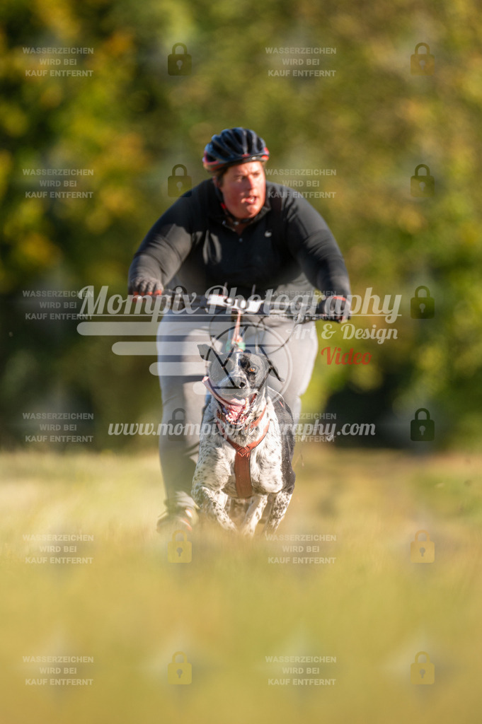 CDLBDB_15_10_2023_Dimanche-224 | PayLife
