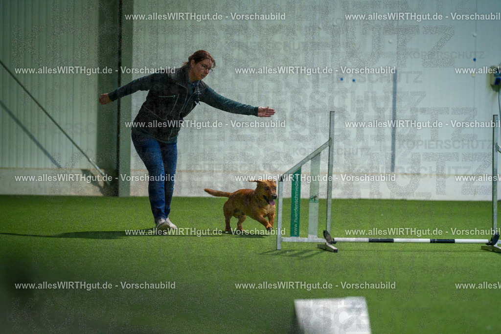 7R507192 | Professionelle Tierfotografie in Mönchengladbach von Daniel Wirth (allesWIRTHgut). Liebevolle & natürliche Bilder von Hunden & Katzen für unvergessliche Erinnerungen.