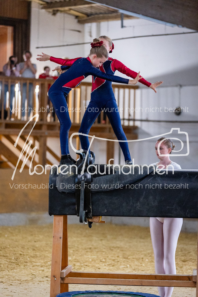 Holzpferd-087 | MomenTaufnahmen Pferdesportfotos