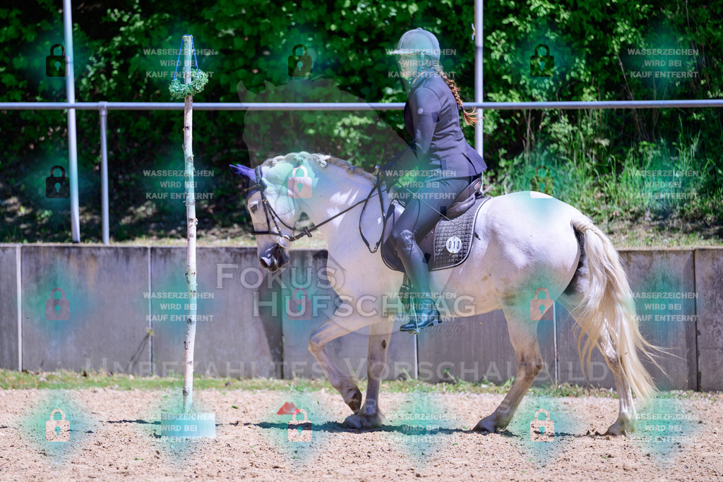 01052026-Giesenbach-02-Stiltrail-0126 | Fokus Hufschlag Fotografie - Realisiert mit Pictrs.com