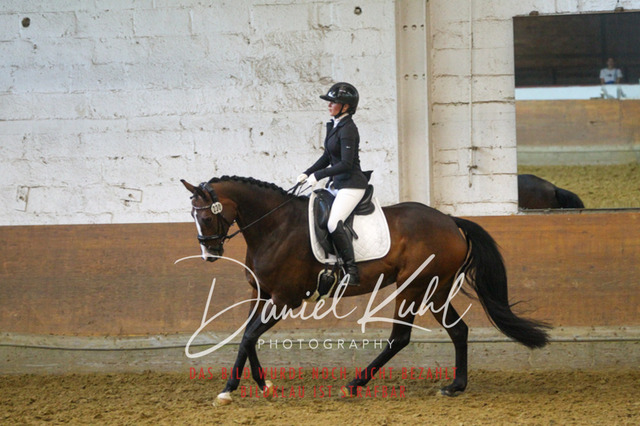 DKP43658 | Turniersportfotografie; Pferdefotografie; Dressurfotografie