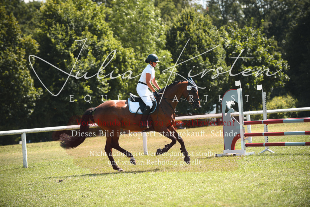 DSC_6535 | Pferde- und Turnierfotografie in Westsachsen. Pferdeportraits, Auftragszeichnungen und intuitive Kunst.