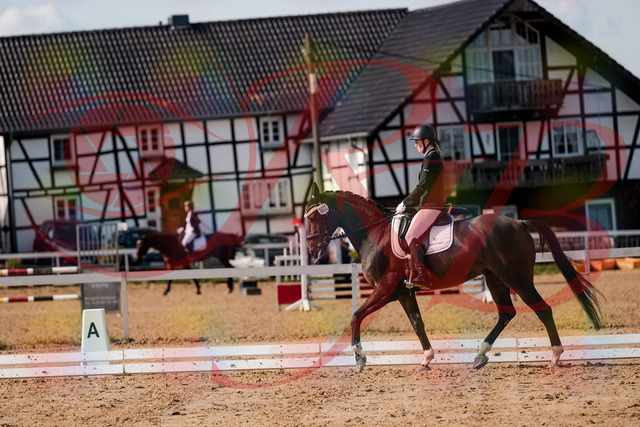 2026_10_03_Siefer-Hof_132125_Z63_82670523 | Professionelle Reitsport-, Turnier- und Eventfotografie von Robert Broda. Galerien mit ausgewählten und bearbeiteten Bildern direkt online ansehen und bestellen.