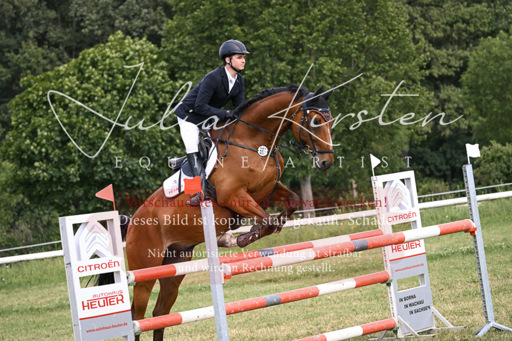 DSC_1000 | Pferde- und Turnierfotografie in Westsachsen. Pferdeportraits, Auftragszeichnungen und intuitive Kunst.