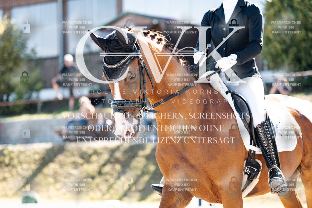 CK909156 | Turnierfotografie Pferdefotografie Trier Rheinland-Pfalz Pferdesport Reitsport Tierfotografie Sportfotografie Pferdevideo Pferdevideografie Equestrianvideography equestrianphotography  - Realisiert mit Pictrs.com