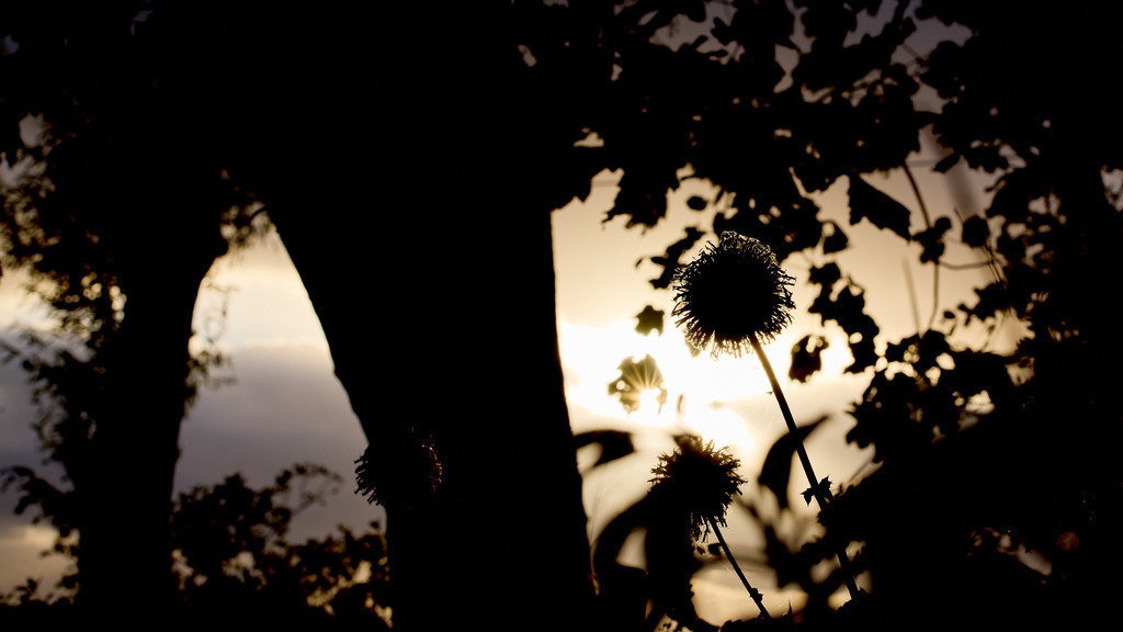 Im Abendlicht II | kleinen-fotografie