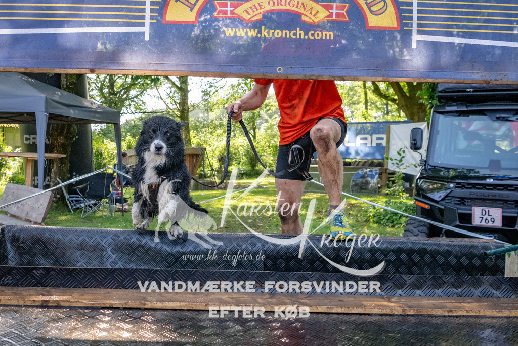 1552_ZZ90621 | kk-dogfotos