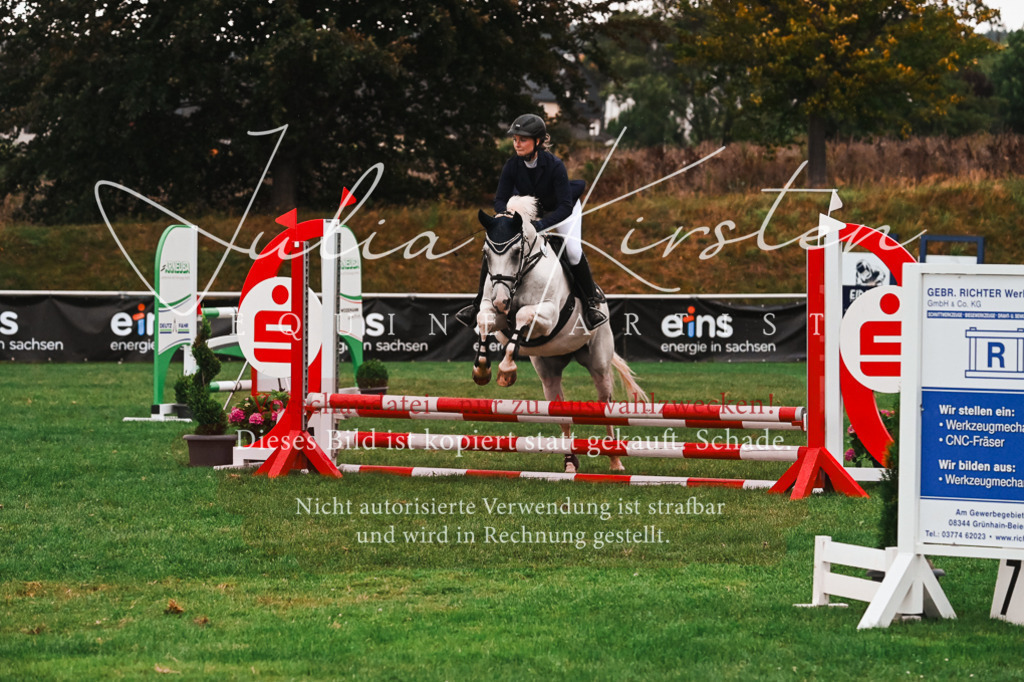 DSC_6097 | Pferde- und Turnierfotografie in Westsachsen. Pferdeportraits, Auftragszeichnungen und intuitive Kunst.