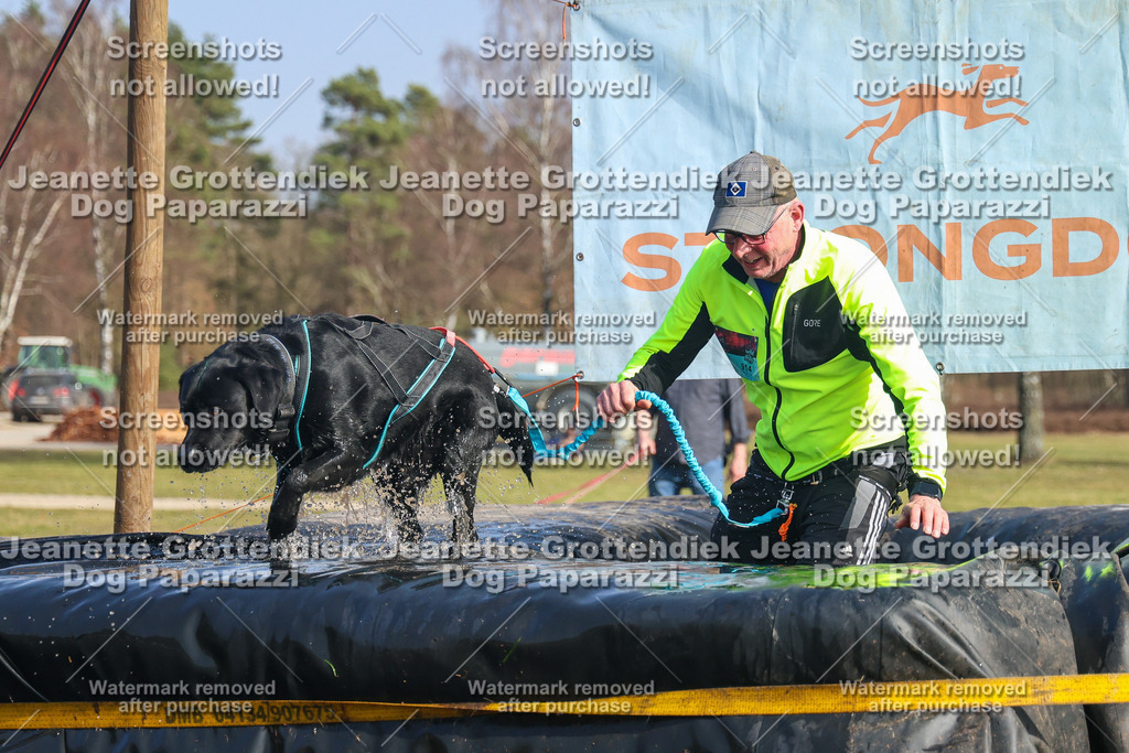 Dog Paparazzi - Strongdog North Mrz26-2777 | Dog Paparazzi Jeanette Grottendiek Fotografie & Videografie - Realisiert mit Pictrs.com