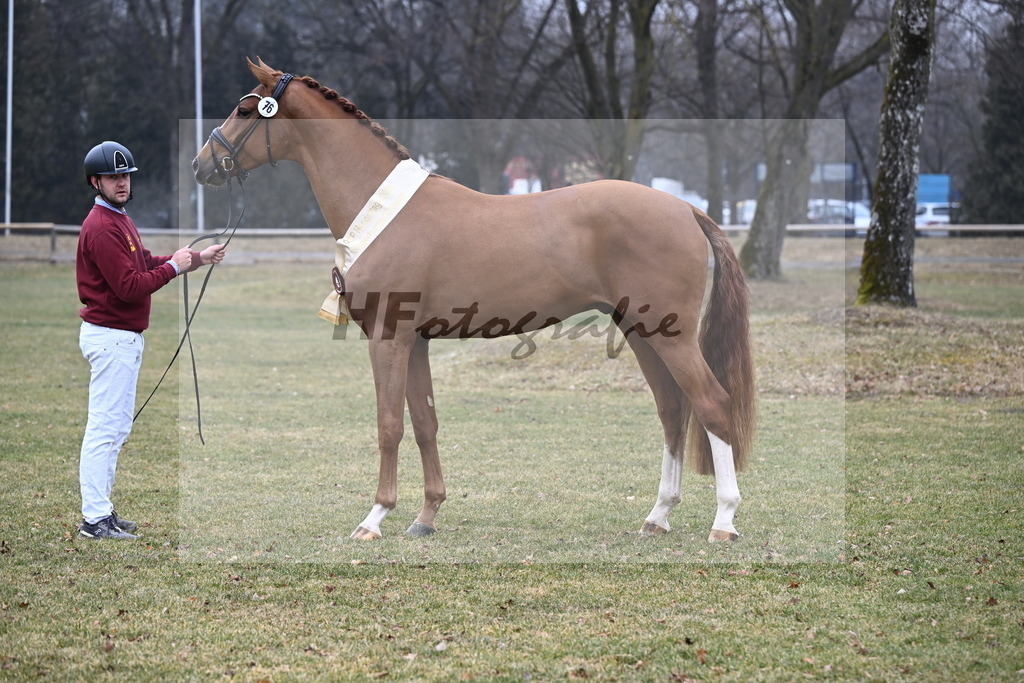Kat.-Nr. 76 v. Sir Heinrich_Schulze Averdiek_3265781 | hf-fotografie - Realisiert mit Pictrs.com