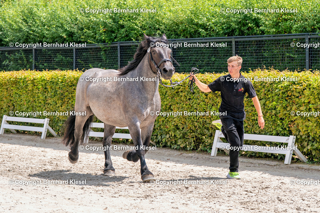 2A901066 | foto-team-bernhard - Realisiert mit Pictrs.com