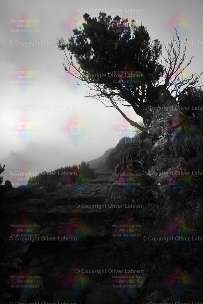 Berglandschaft im Nebel | Der Weg von der Achada do Teixeira zum Pico Ruivo ist gut mit Natursteinen befestigt .. Immer wieder ziehen Wolken auf und verdecken die Sicht.