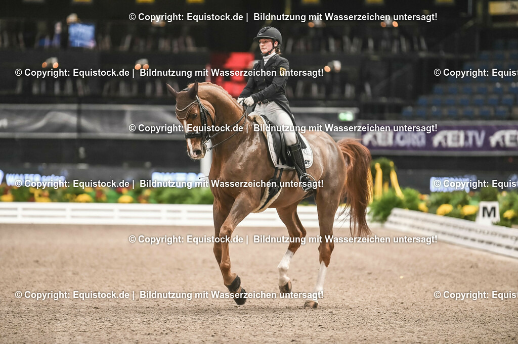 20231115_20_Dressur_Kl-S++_0166_TOMsPiC | Foto: Thomas Hartig