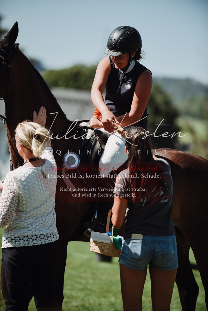 DSC_3337 | Pferde- und Turnierfotografie in Westsachsen. Pferdeportraits, Auftragszeichnungen und intuitive Kunst.