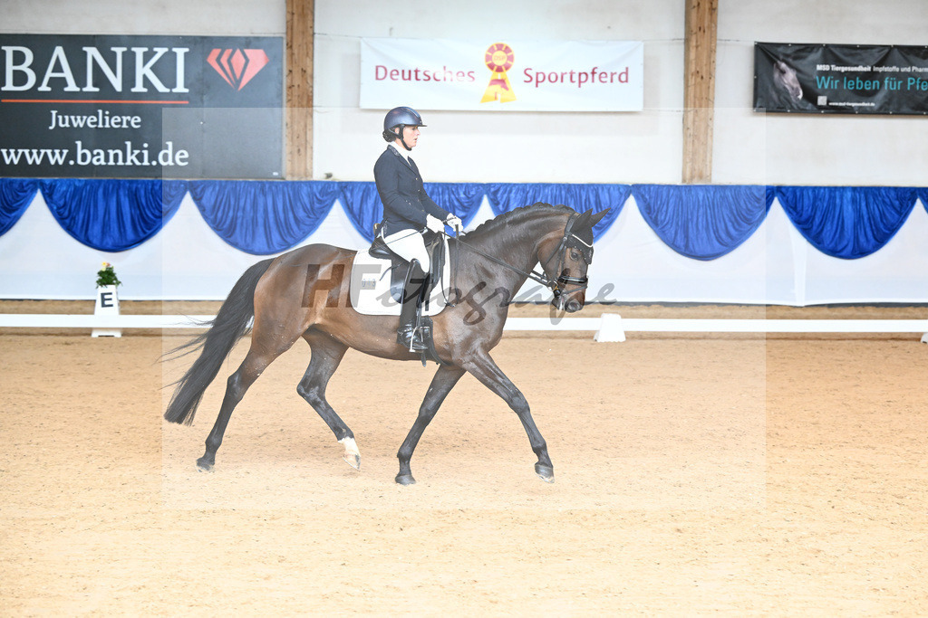 Kat-Nr. 43 Donna Galante_Scherer_14240324 | hf-fotografie - Realisiert mit Pictrs.com