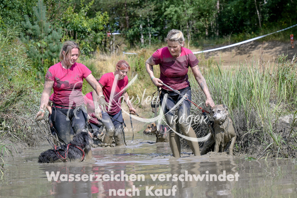 1620_ZZ95471 | kk-dogfotos
