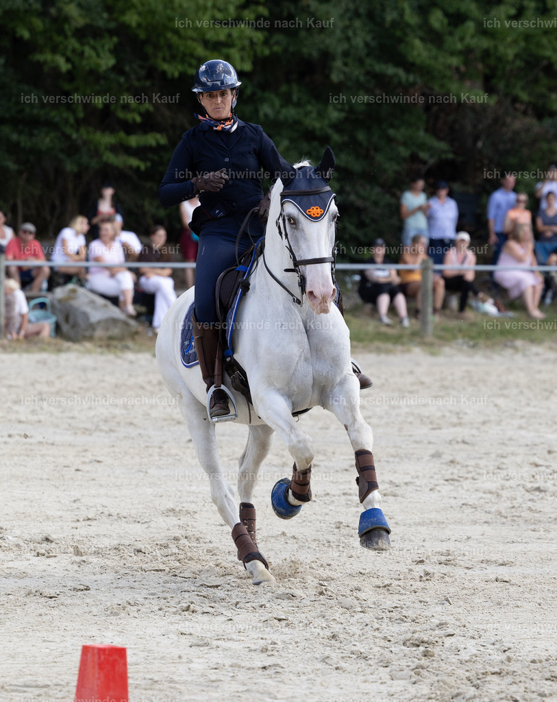 WS_SPEED_52_KerstinBernhardt-10 | working equitationturnier fotograf videograf stoibphotography marixx film working equitation deutschland reitsport turnierfotografie eventfotografie equestrian events