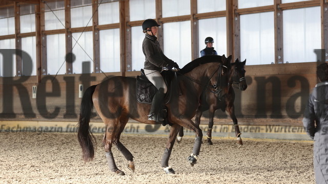 Dressurlehrgang_Theodorescu_2024_Anna-Louisa Fuchs (12) | Alle Fotos der Reiterjournal Fotografin Doris Matthaes im Reiterjournal Online-Fotoshop. - Realizado com Pictrs.com