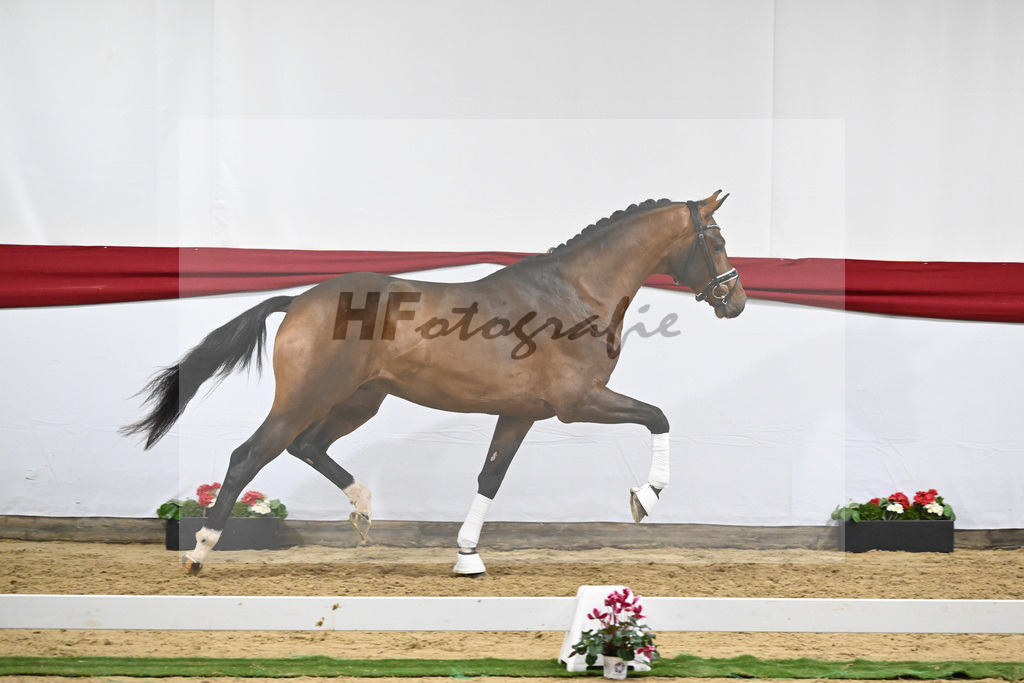 Kat-Nr. 60 v. Valverde_Schoenland_63221821 | hf-fotografie - Realizzato con Pictrs.com