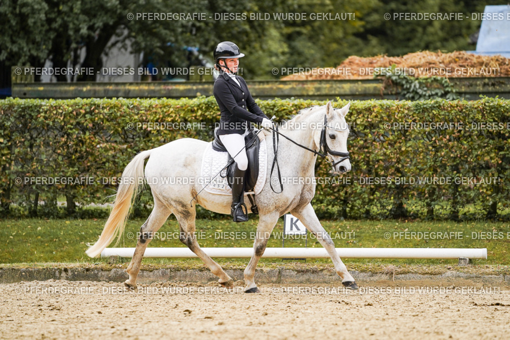 DSC07746 | Pferdegrafie