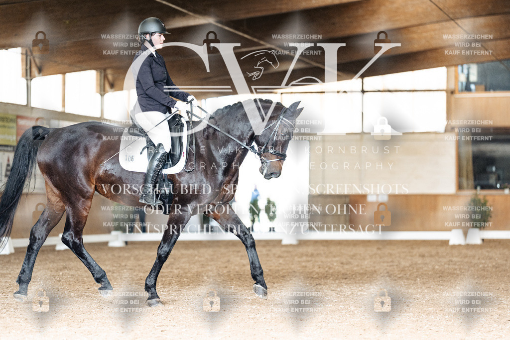 CK902048 | Turnierfotografie Pferdefotografie Trier Rheinland-Pfalz Pferdesport Reitsport Tierfotografie Sportfotografie Pferdevideo Pferdevideografie Equestrianvideography equestrianphotography  - Realisiert mit Pictrs.com