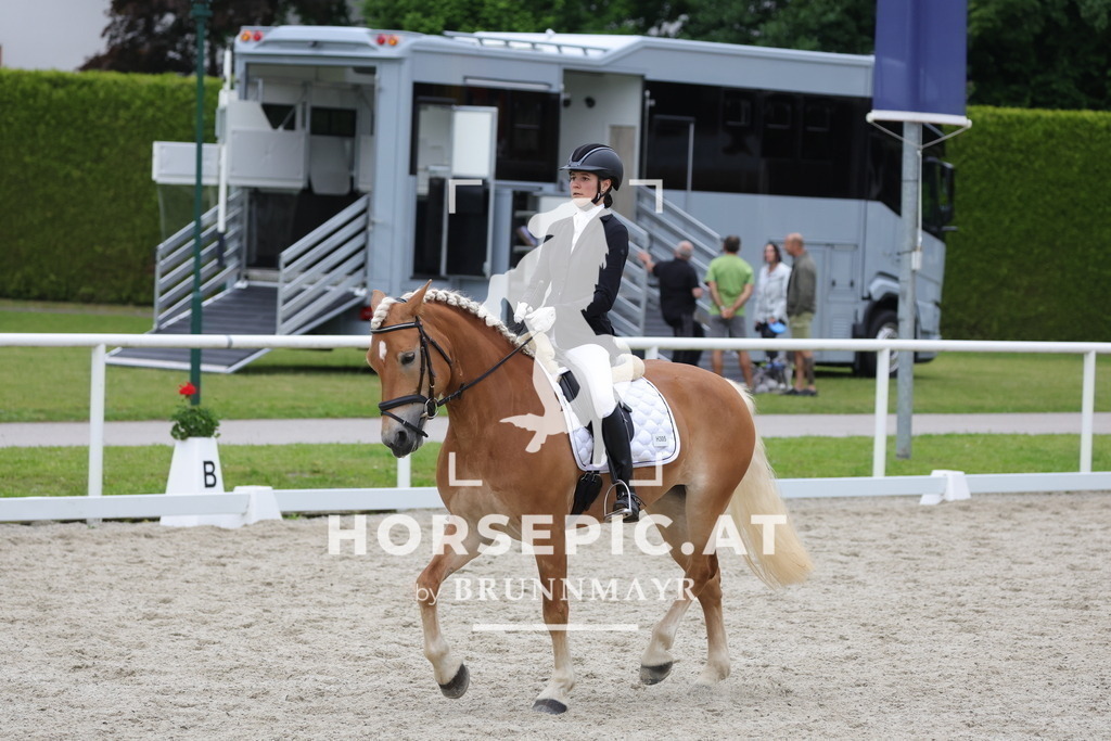 0P6A7082 | Willkommen bei Brunnmayr - Design & Fotografie – Ihrem Spezialisten für Reitturniere und Pferdeveranstaltungen in Oberösterreich, Salzburg und Bayern! Seit über 17 Jahren sind wir leidenschaftlich dabei.
