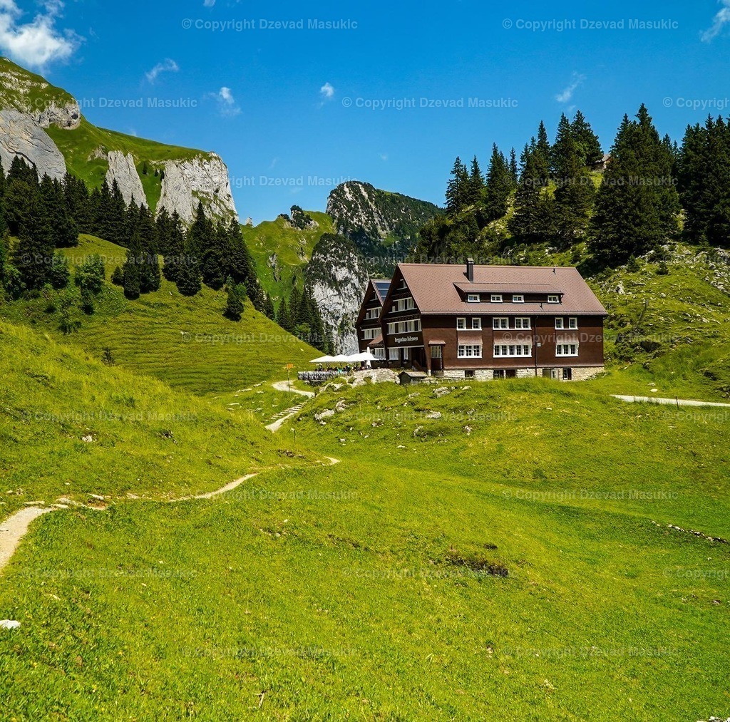 A9BAB502-05A6-4A50-BB9D-D5BD095971C7 | Ich fotografiere Landschaften, Produkte und erstelle für Sie Firmenportraits. Engagieren Sie mich für den nächsten Projekt. - Realisiert mit Pictrs.com