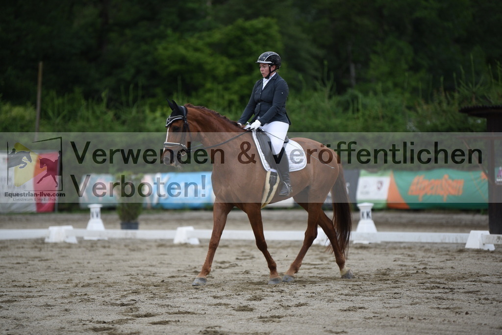 DSC_6454 | equestrian-live-com