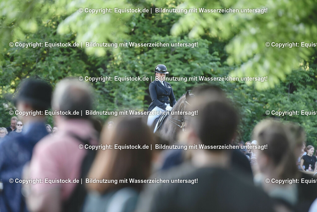 TP5_1731 | equistock