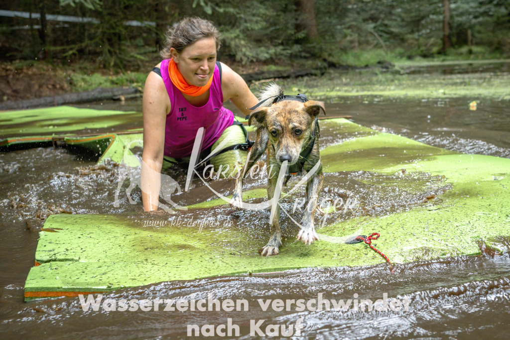 1517_ZZ90193-Bearbeitet | kk-dogfotos