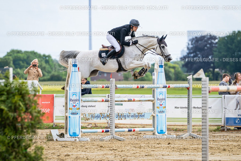 DSC07139 | Pferdegrafie