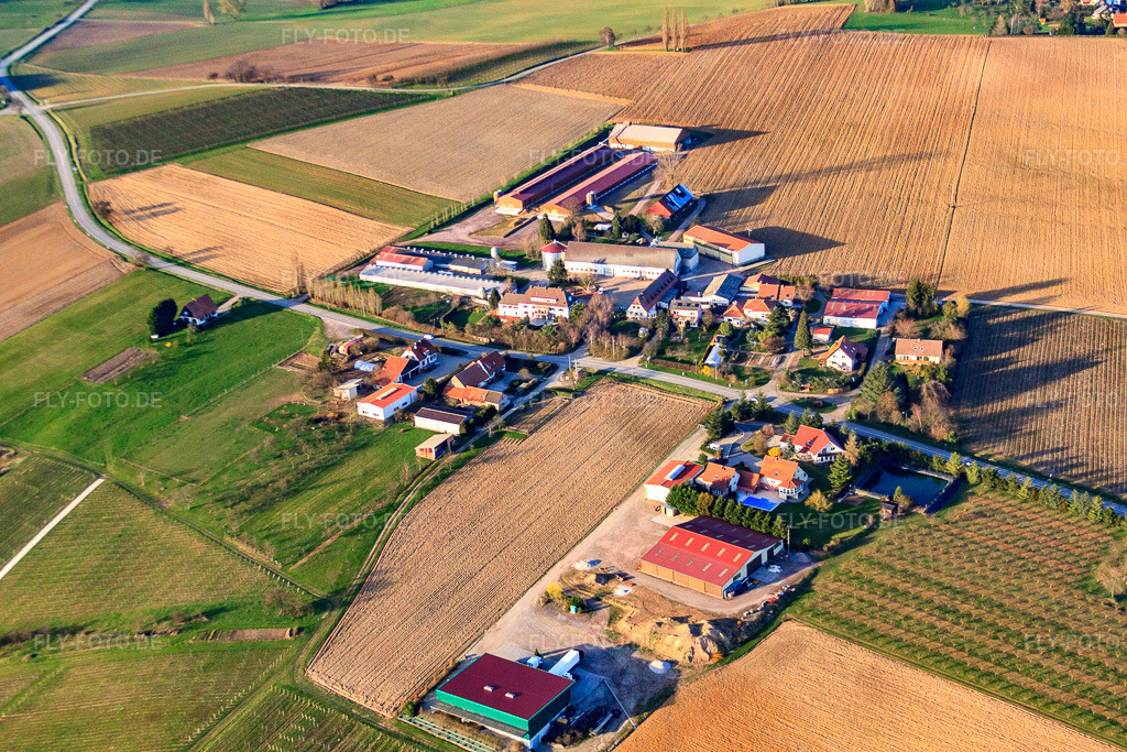 Luftbild: Ortsteil Schafbusch in Steinseltz im Bundesland Bas-Rhin in Frankreich. – Foto: IMG_38783.jpg vom 20.03.2011 durch Werner Riehm/FLY-FOTO.de – Auflösung des Originals: 4752 x 3168 px