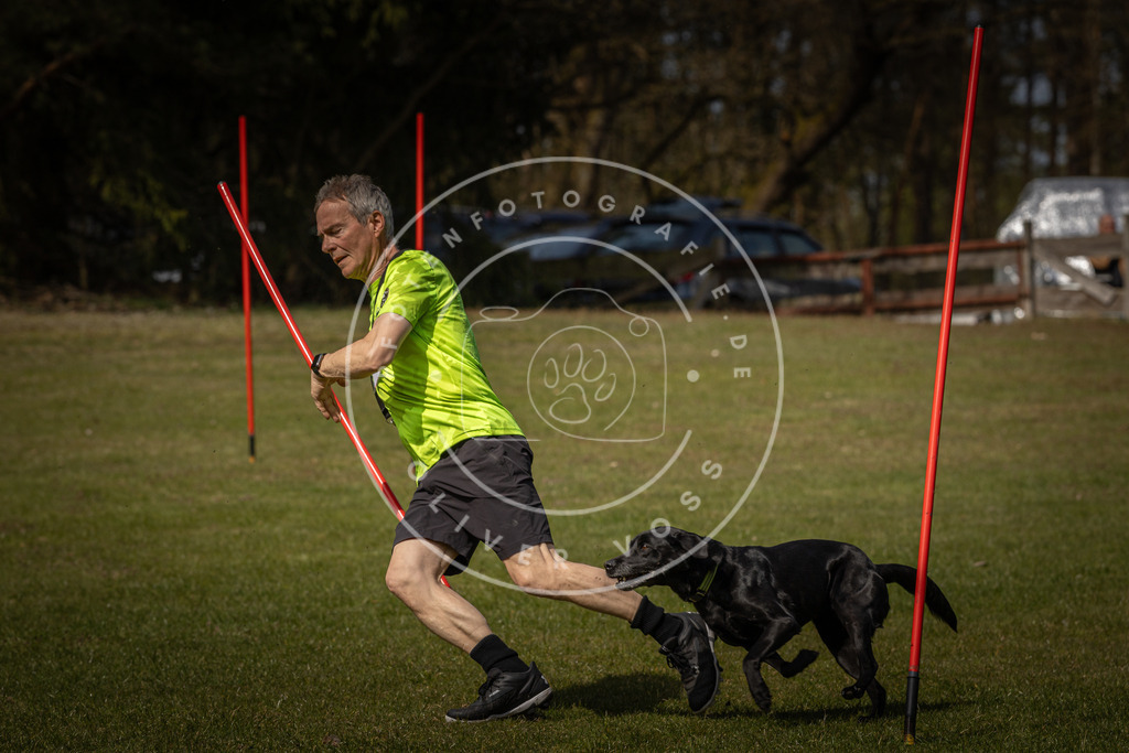 Pfotenfotografie_DV3A4123 | Hundefotografie, Tierfotograf, Pfotenfotografie, Fotoshooting Hund, Hunde Portrait, Hundesport, Hundeportraits, Heideshooting, Hunde, Sportfotograf, Hundefotograf, Turnierhundsport, THS,  - Realisiert mit Pictrs.com