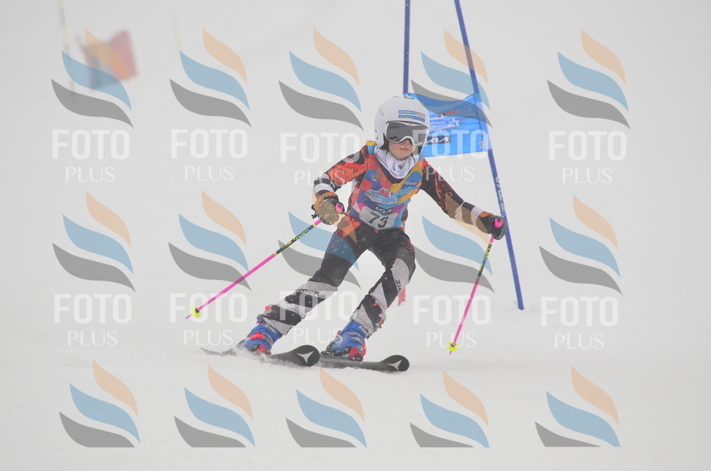 C1184 | holidayphoto