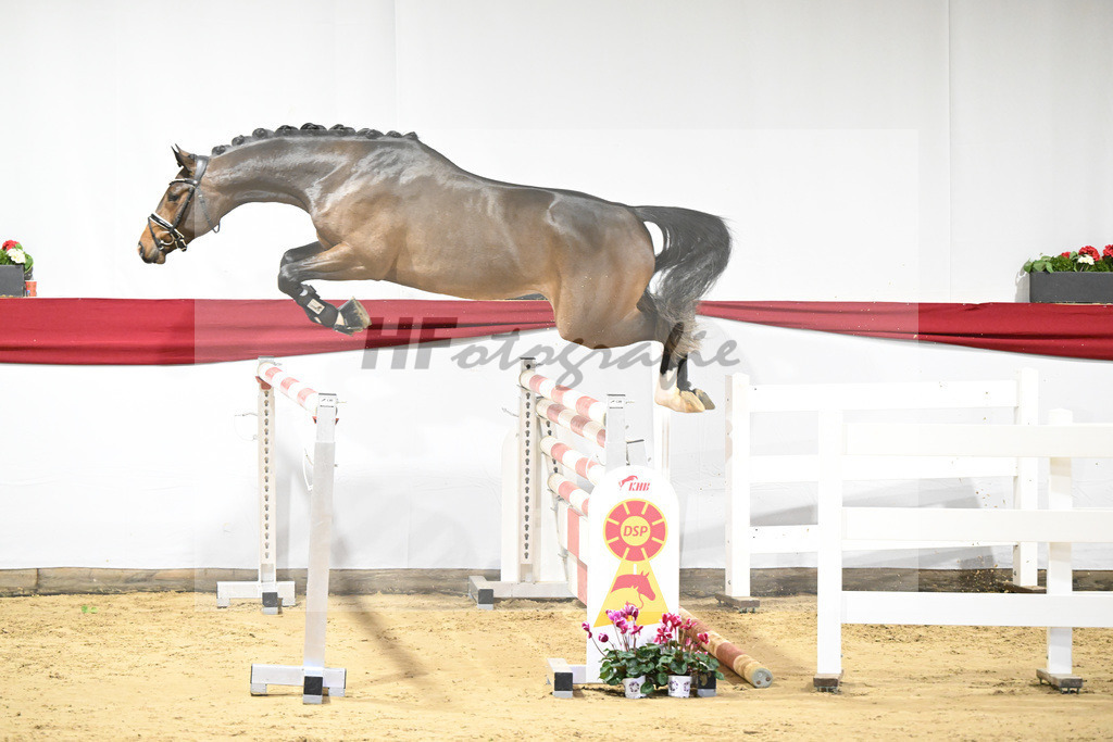 Kat-Nr. 29 v. Diaron_Meyer_63220947 | hf-fotografie - Realisiert mit Pictrs.com
