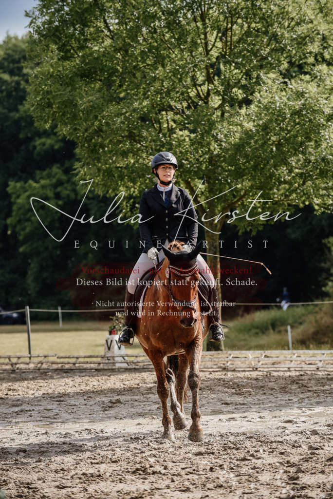 DSC_8909 | Pferde- und Turnierfotografie in Westsachsen. Pferdeportraits, Auftragszeichnungen und intuitive Kunst.