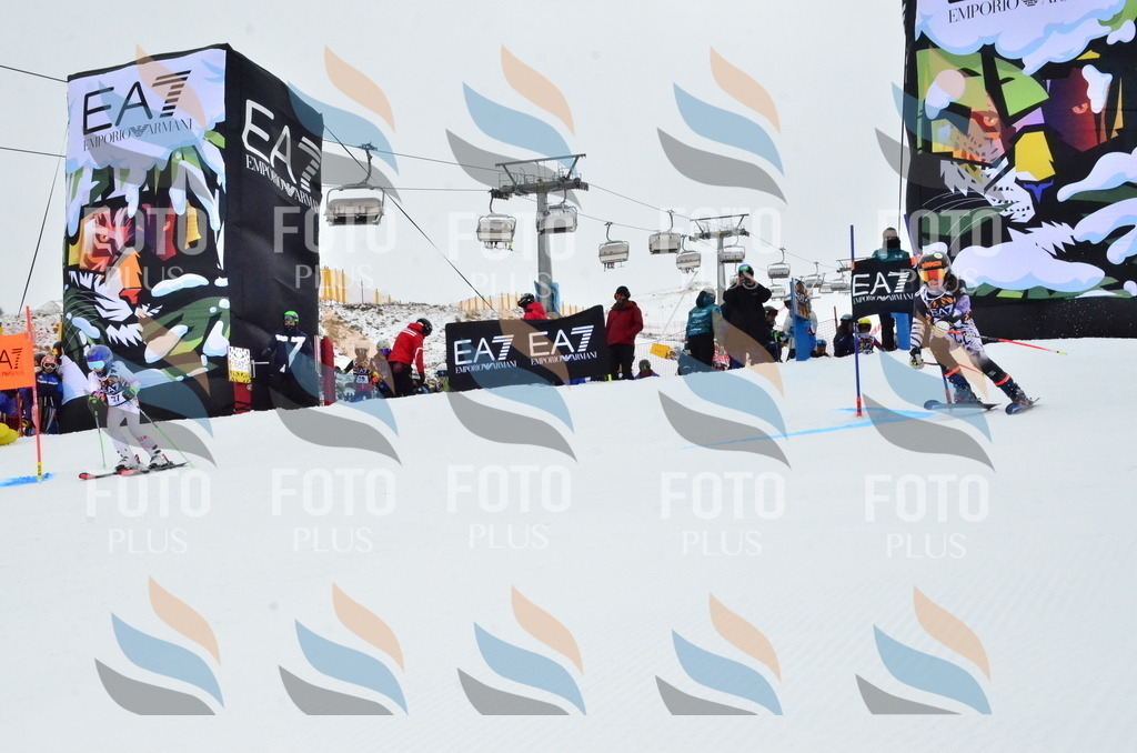 _ELE3317 | holidayphoto