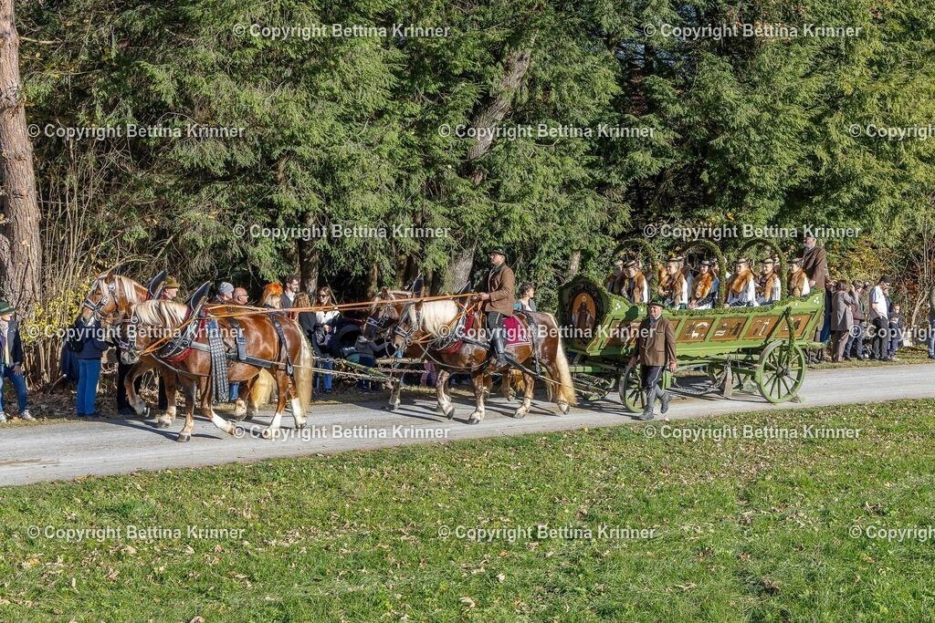 LBT25-855 | foto-bettina-krinner - Realisiert mit Pictrs.com